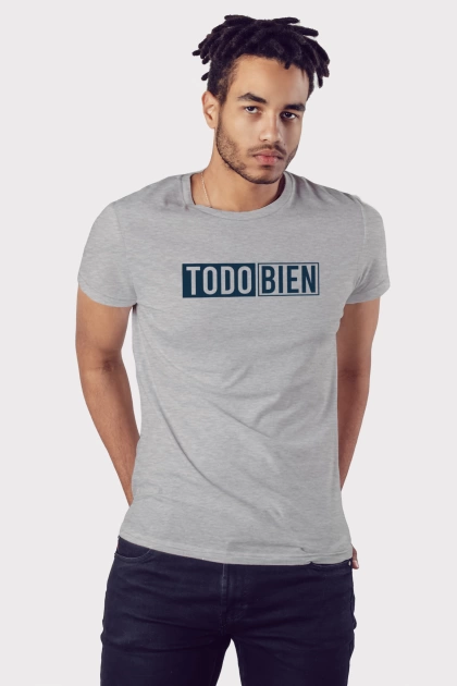 Camiseta colombiana gris para hombre con frase todo bien